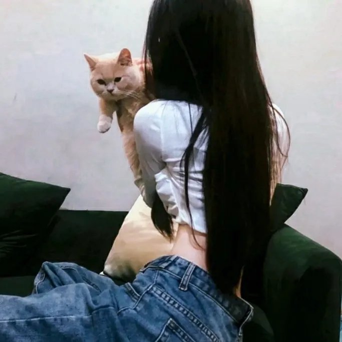 万事美好封面